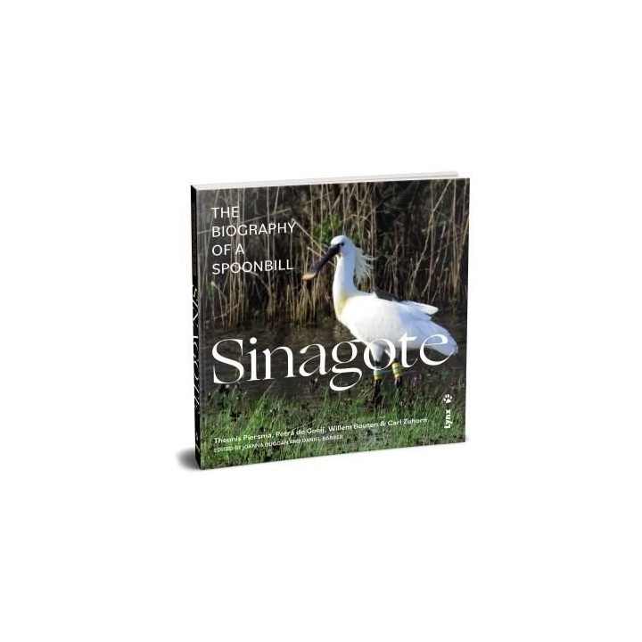 SINAGOTE THE BIOGRAPHY OF A SPOONBILL