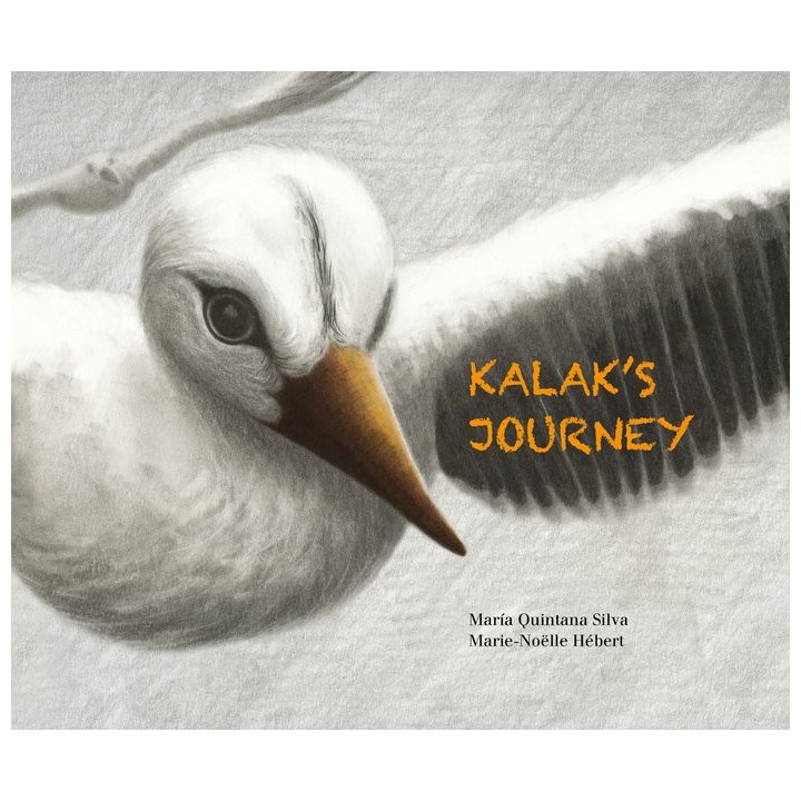 KALAKIS JOURNEY