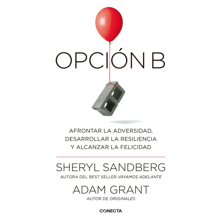 OPCION B