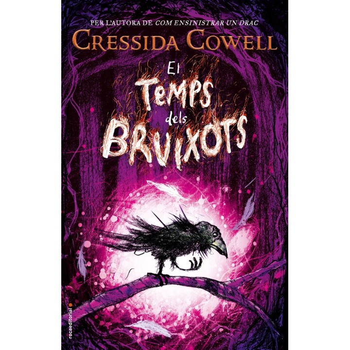 TEMPS DELS BRUIXOTS,EL