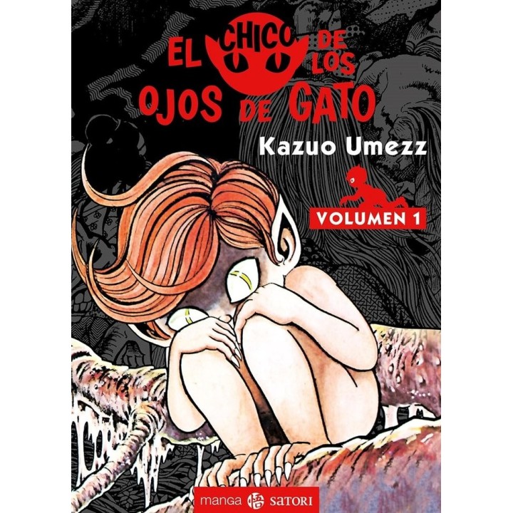 CHICO DE LOS OJOS DE GATO,EL 1