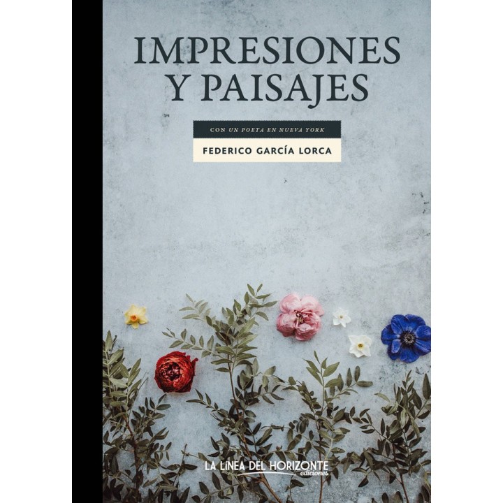 IMPRESIONES Y PAISAJES