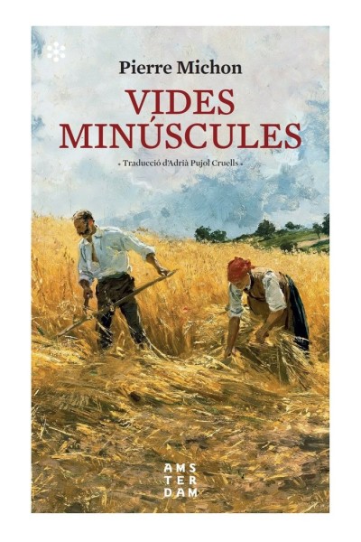 VIDES MINUSCULES