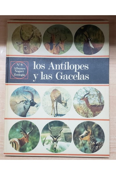 Los Antílopes y las Gacelas