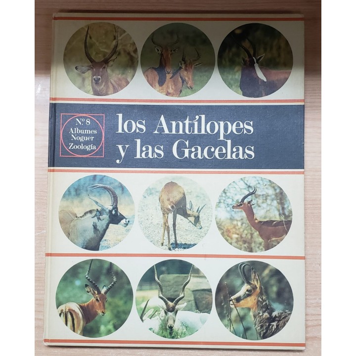 Los Antílopes y las Gacelas