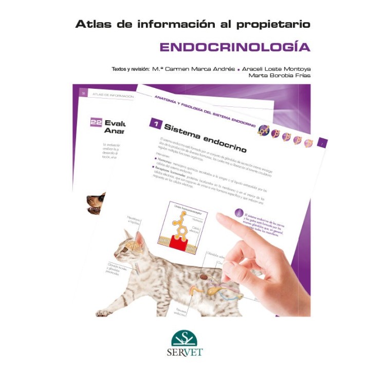 ATLAS DE INFORMACION AL PROPIETARIO ENDOC