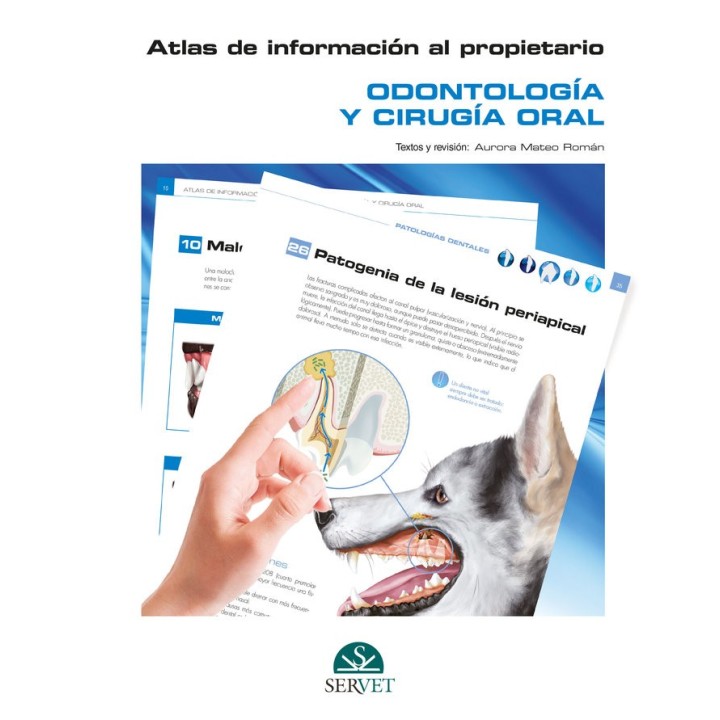 ATLAS DE INFORMACION AL PROPIETARIO ODONTO