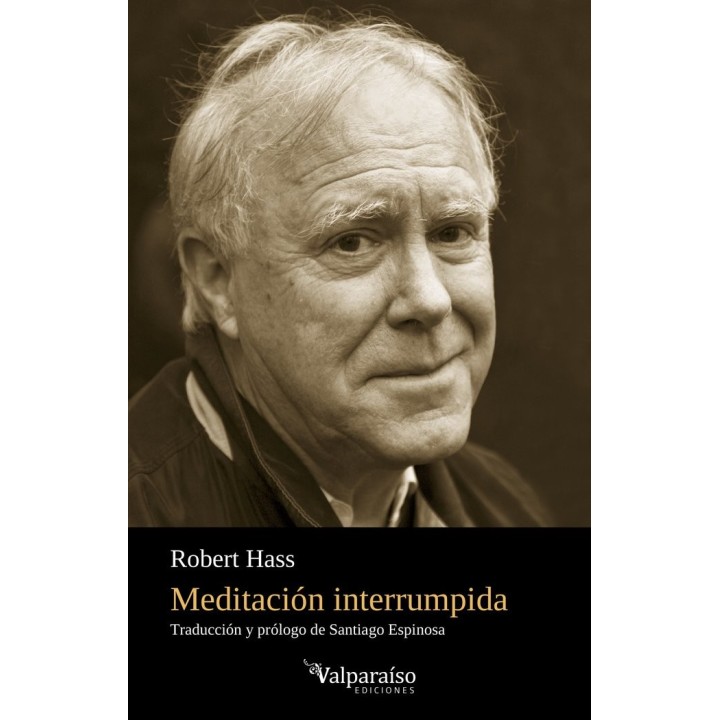 MEDITACION INTERRUMPIDA