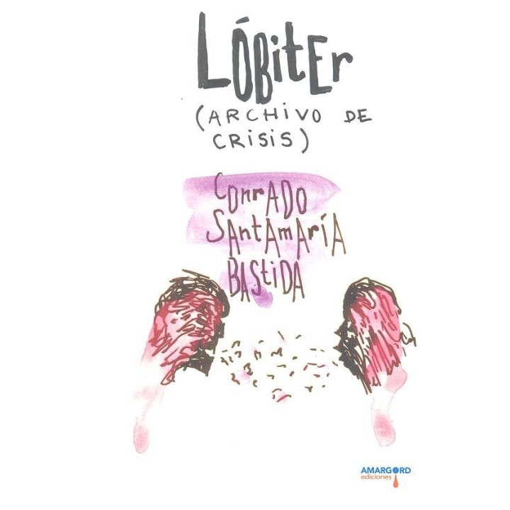 LOBITER ARCHIVO DE CRISIS