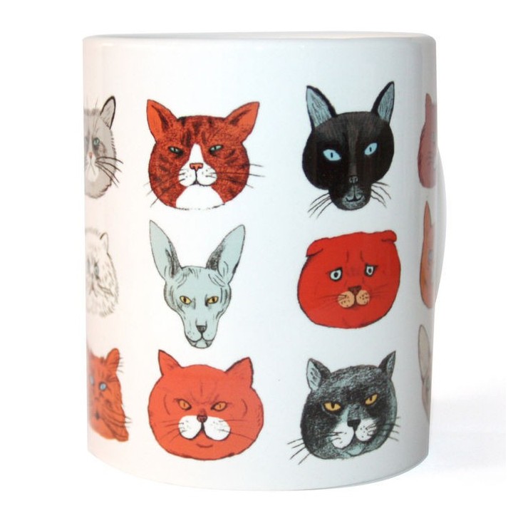 TAZA GATOS BAJO LA LUPA DE LOS CIENTIFICOS