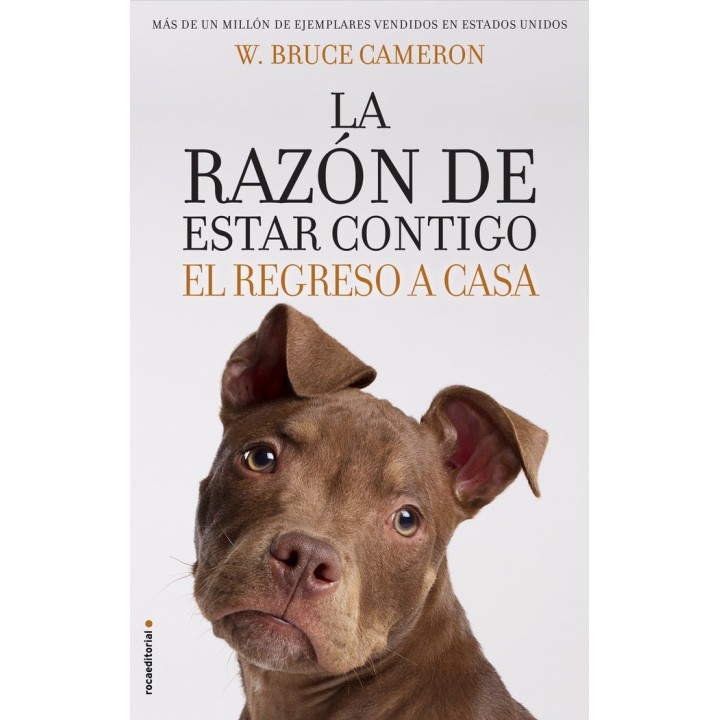 RAZON DE ESTAR CONTIGO EL REGRESO A CASA,LA