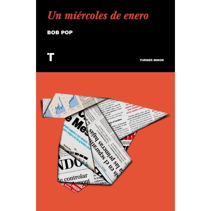 UN MIERCOLES DE ENERO