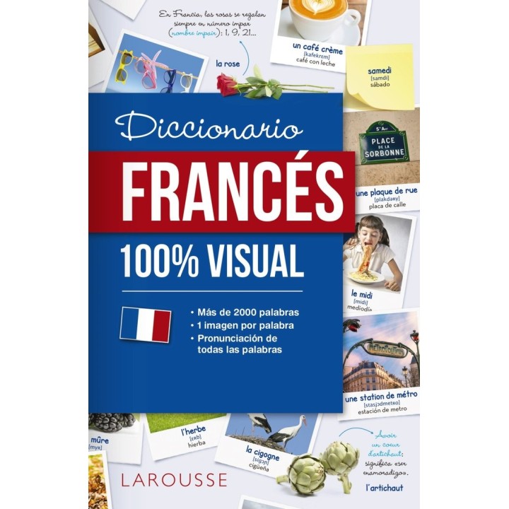 DICCIONARIO DE FRANCES 100% VISUAL