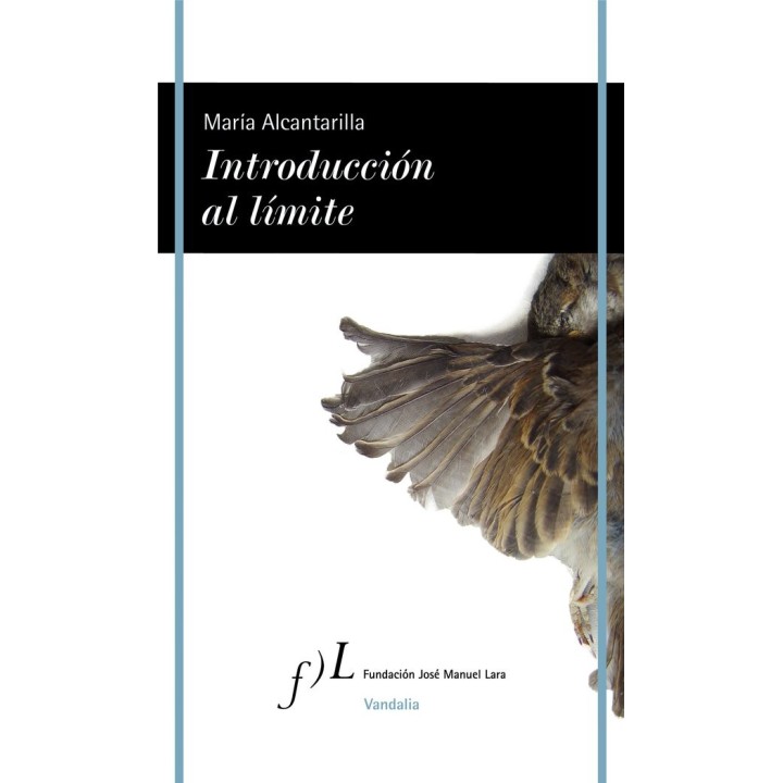 INTRODUCCION AL LIMITE