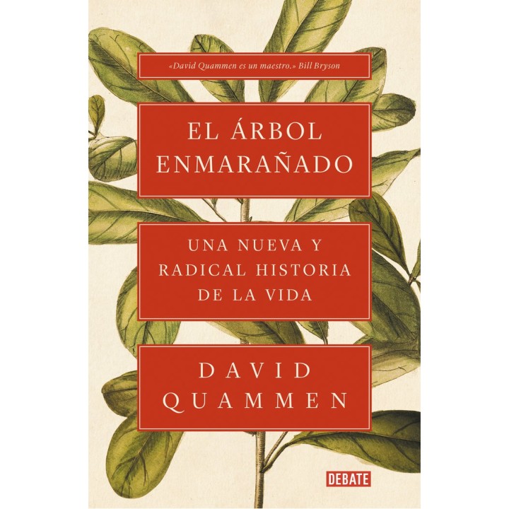 EL ARBOL ENMARAÑADO
