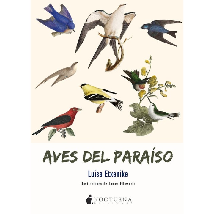 AVES DEL PARAISO