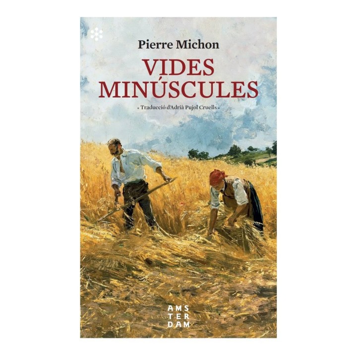 VIDES MINUSCULES