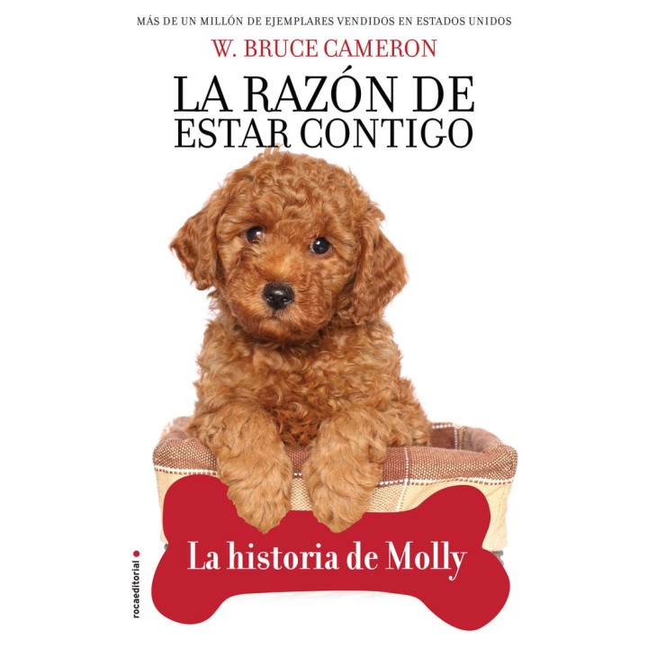 LA RAZON DE ESTAR CONTIGO LA HISTORIA DE