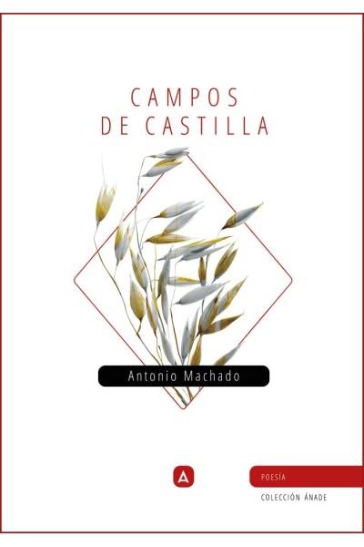 CAMPOS DE CASTILLA