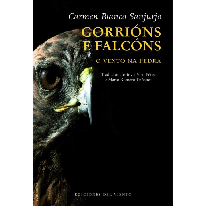 GORRIONS E FALCONS