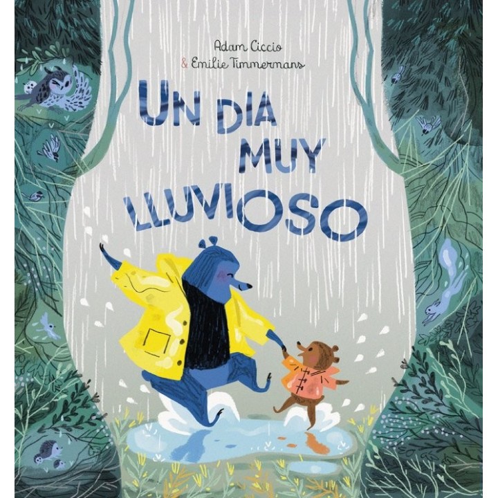 UN DIA MUY LLUVIOSO