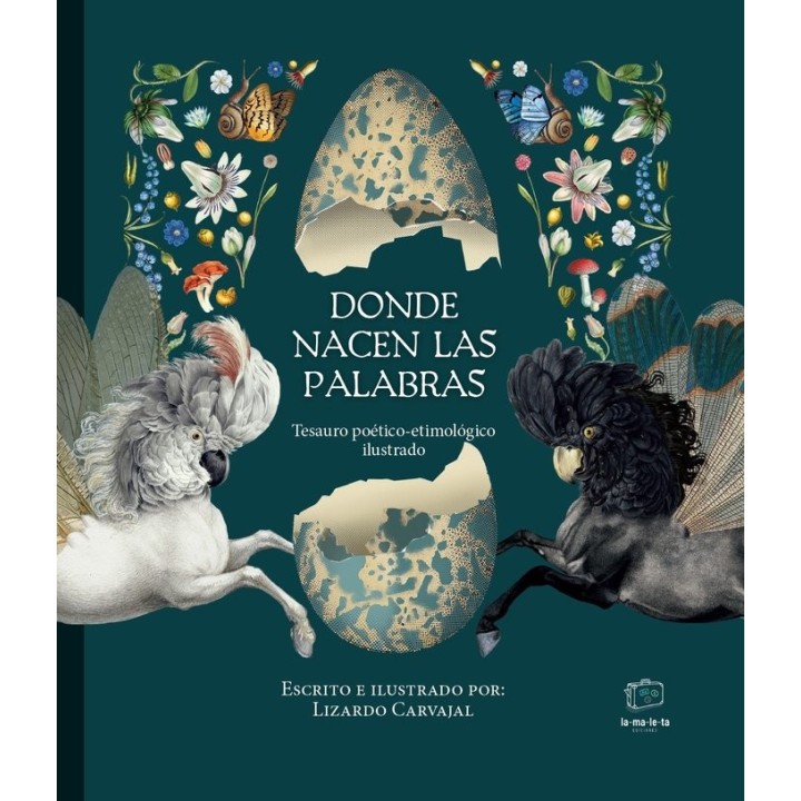 DONDE NACEN LAS PALABRAS