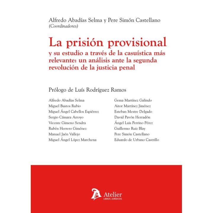 PRISION PROVISIONAL Y SU ESTUDIO A TRAVES DE LA CASUISTICA