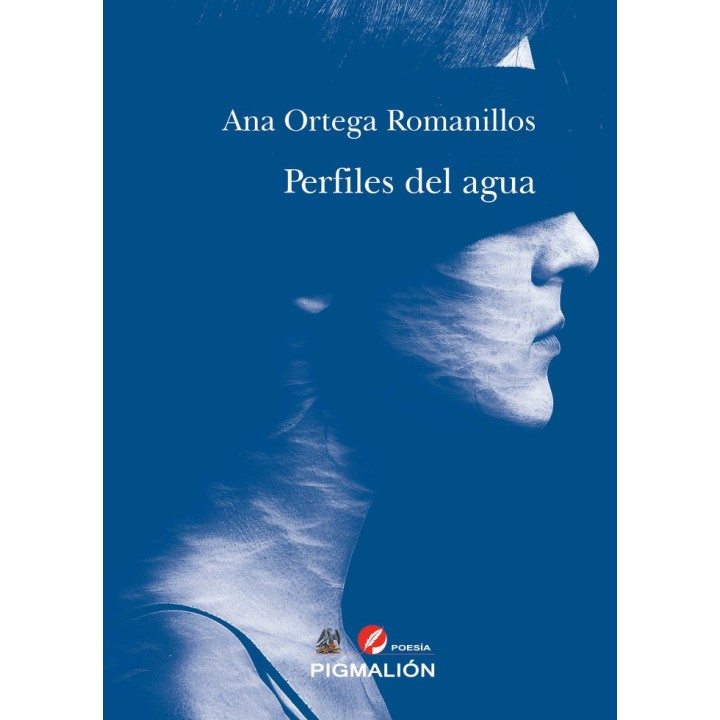 PERFILES DEL AGUA