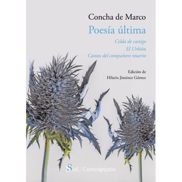 POESIA ULTIMA CELDA DE CASTIGO EL URBION