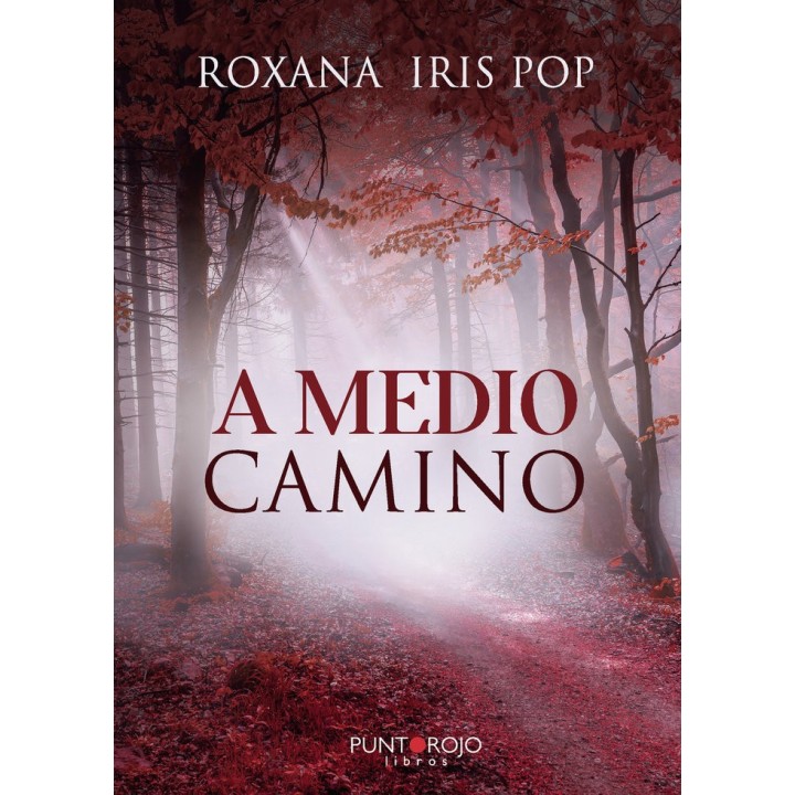 A MEDIO CAMINO