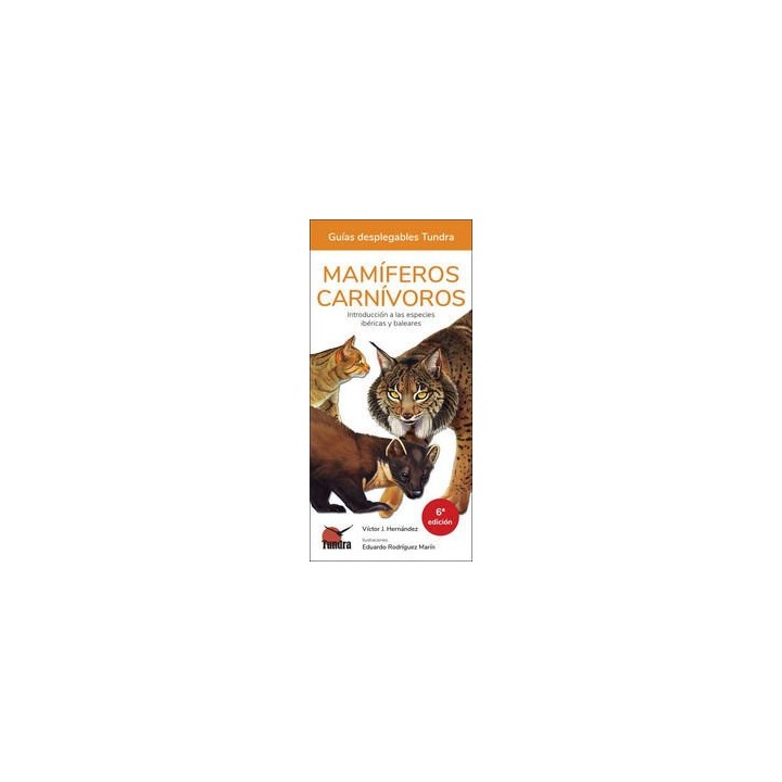 MAMIFEROS CARNIVOROS 6ª