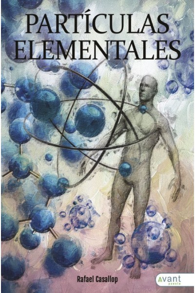 PARTICULAS ELEMENTALES