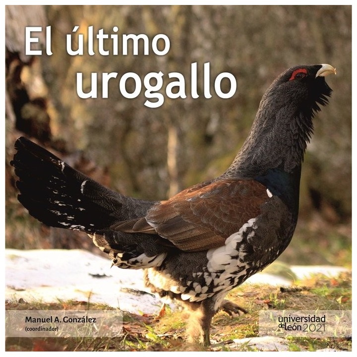 EL ULTIMO UROGALLO