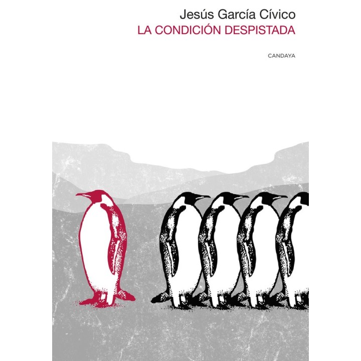 CONDICION DESPISTADA,LA