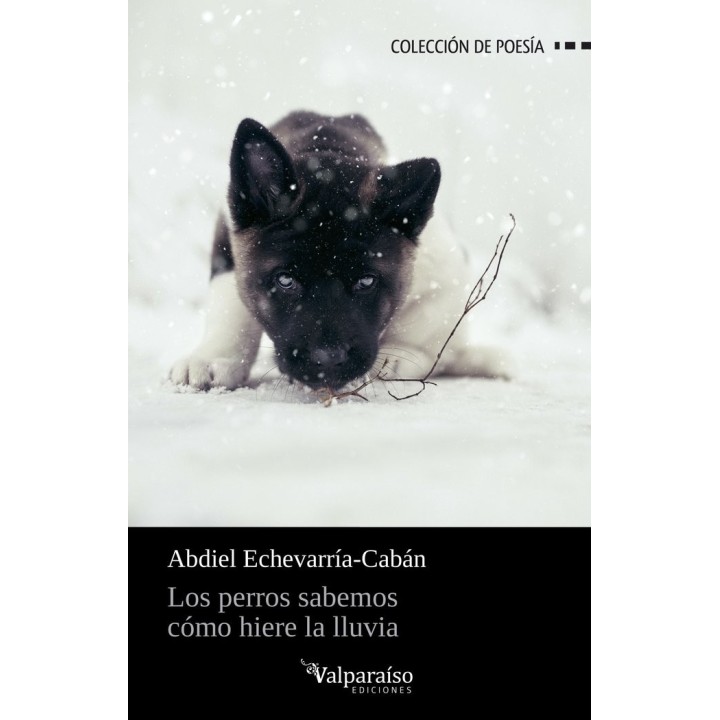 PERROS SABEMOS COMO HIERE LA LLUVIA,LOS