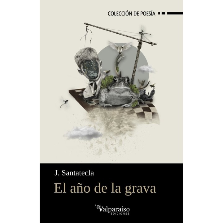 EL AÑO DE LA GRAVA