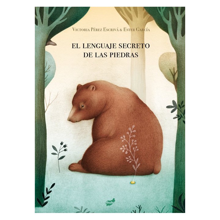 EL LENGUAJE SECRETO DE LAS PIEDRAS
