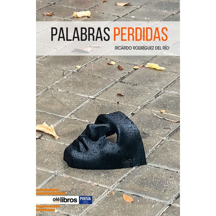 PALABRAS PERDIDAS
