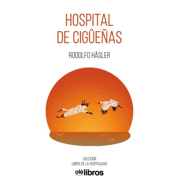 HOSPITAL DE CIGUEÑAS