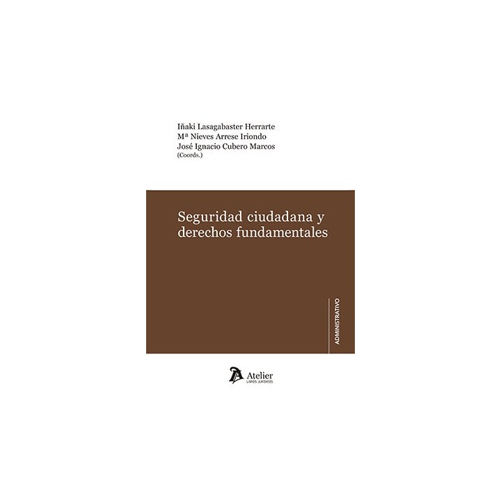 SEGURIDAD CIUDADANA Y DERECHOS FUNDAMENTALES