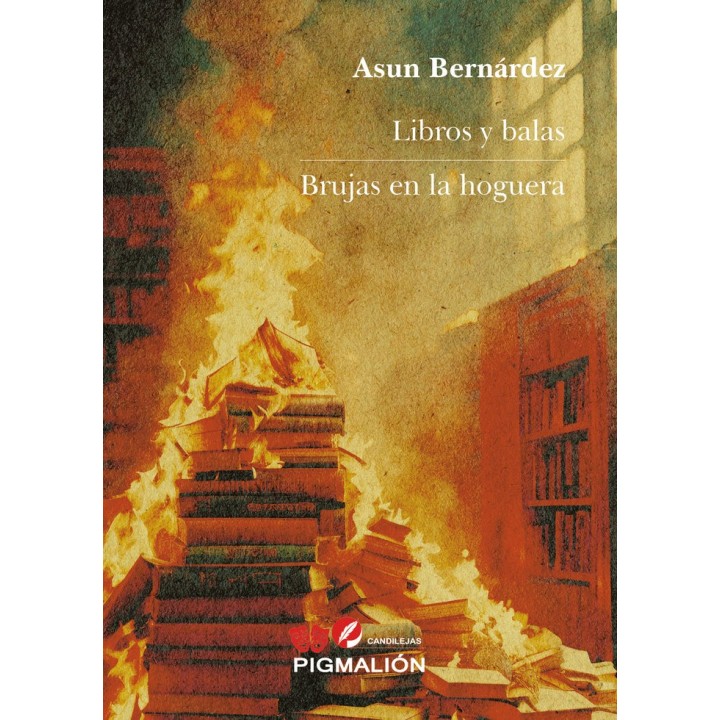 LIBROS Y BALAS BRUJAS EN LA HOGUERA