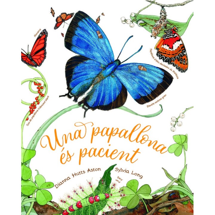 UNA PAPALLONA ES PACIENT