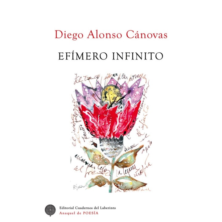EFIMERO INFINITO