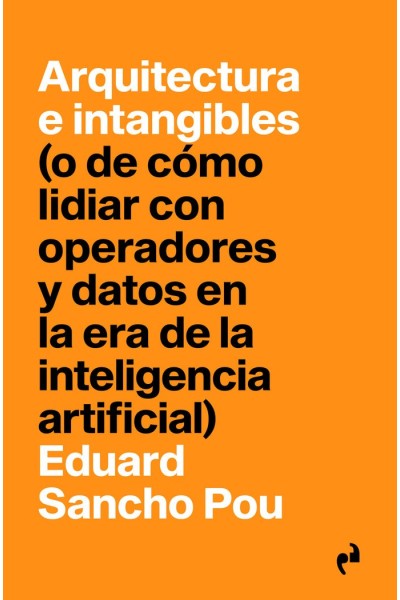 ARQUITECTURA E INTANGIBLES
