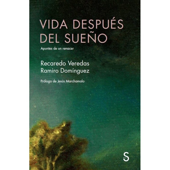 VIDA DESPUES DEL SUEÑO