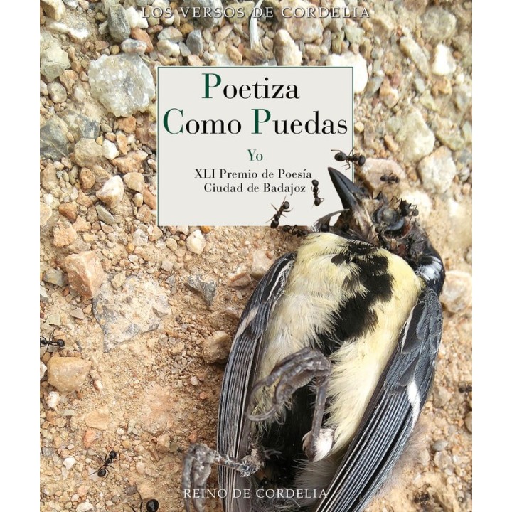 POETIZA COMO PUEDAS