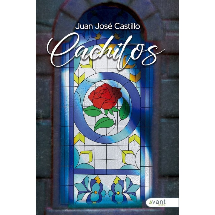20 CACHITOS DE POESIA
