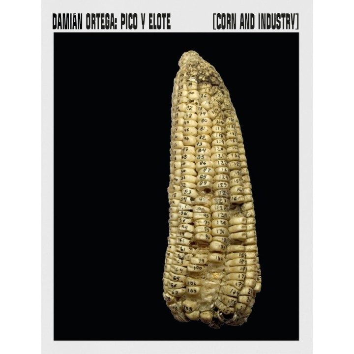 PICO Y ELOTE CORN AND INDUSTRY