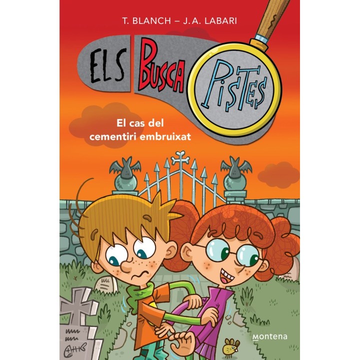 EL CAS DEL CEMENTIRI EMBRUIXAT ELS BUSCAPISTES 4