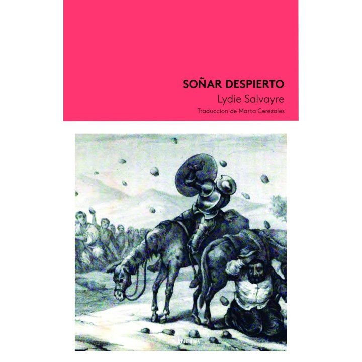 SOÑAR DESPIERTO